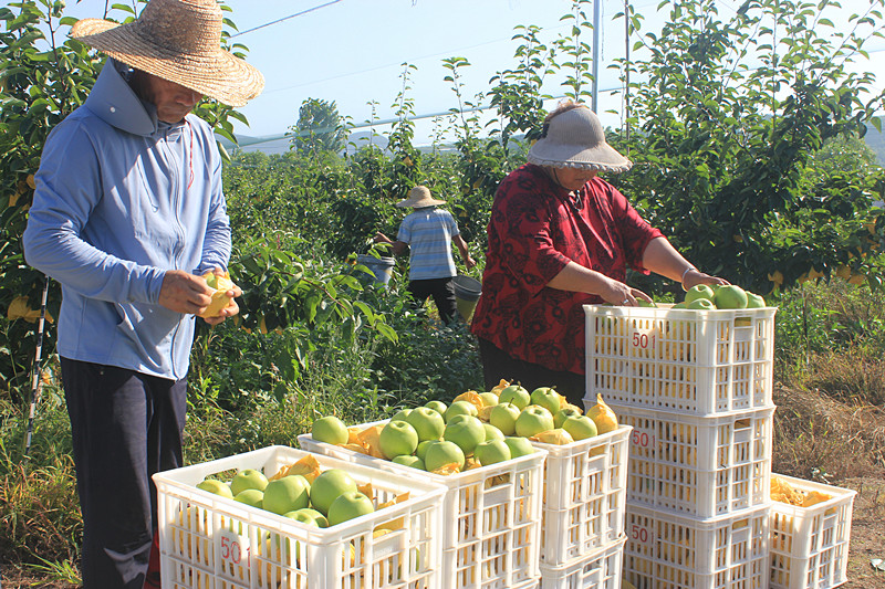 ��ó������Ѕ^(q��)ǰ�����@�����@���������ˣ�