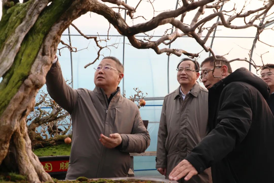 ���f��ί����ӛ������ί��ӛ�����ށ�F�ǅ^(q��)�{��ʯ��a(ch��n)�I(y��)�l(f��)չ����